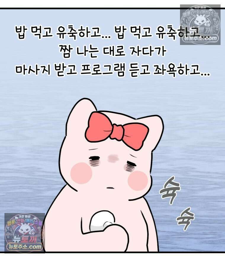 멍냥패밀리 40화 조리원 생활2 42