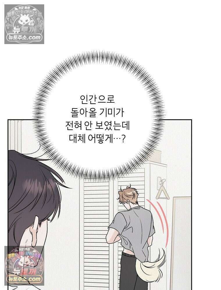 좋아하는 강아지 있어? 04화 13