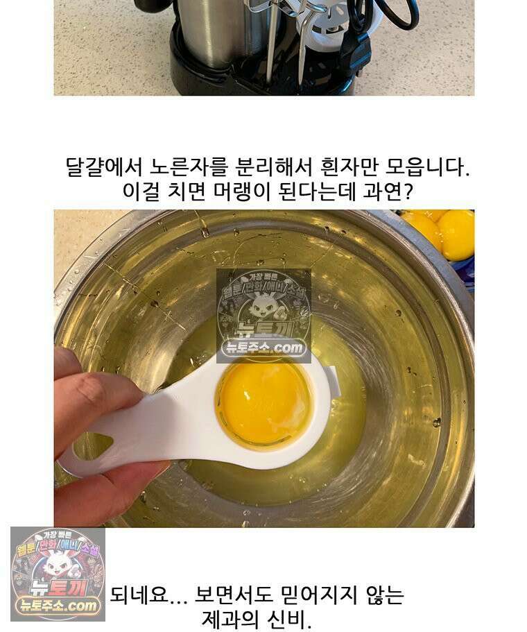 코알랄라 147화 파블로바 48
