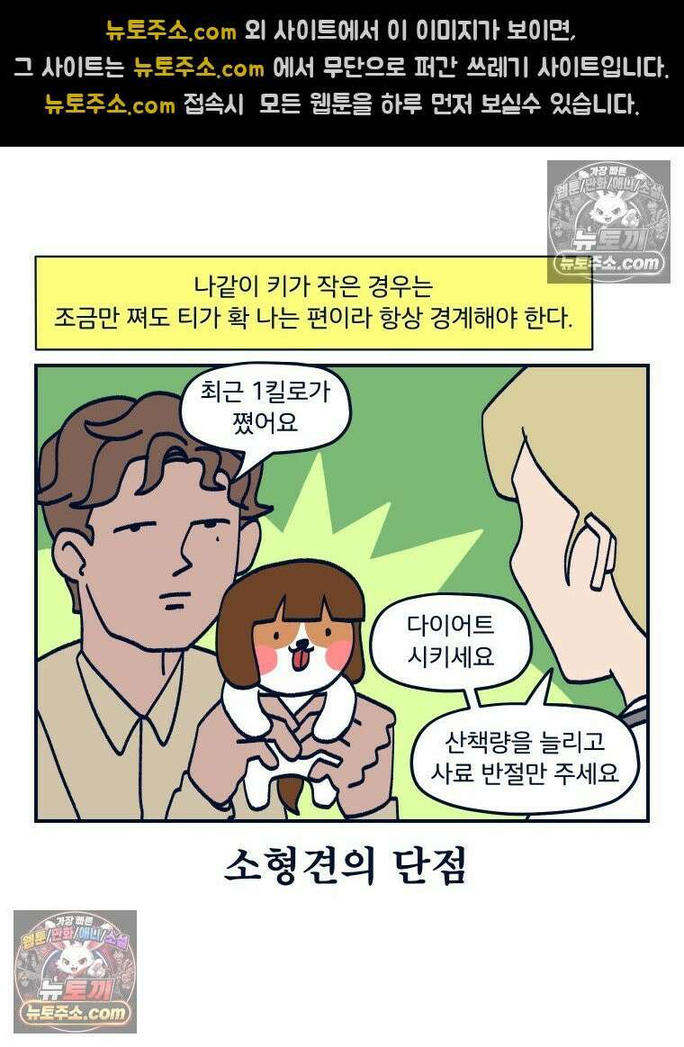 슬프게도 이게 내 인생 시즌4 24화 다이어트 10