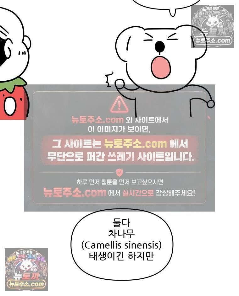 코알랄라 170화 말차라떼 8