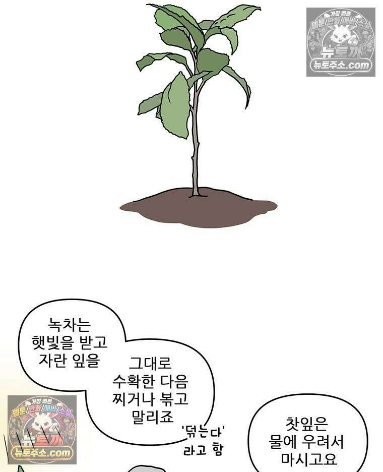 코알랄라 170화 말차라떼 9