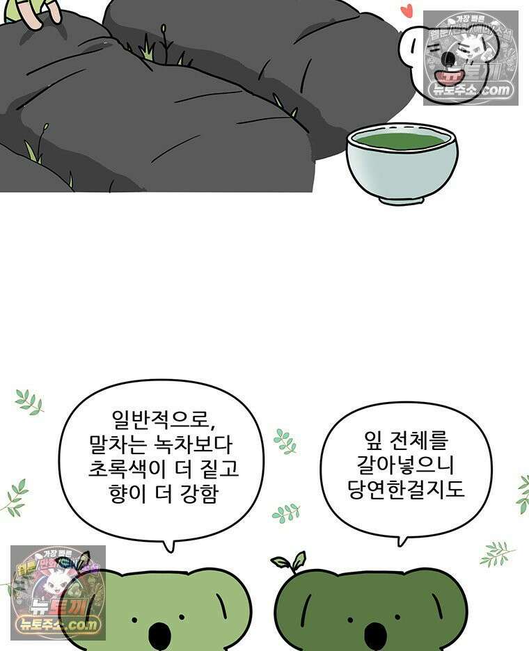 코알랄라 170화 말차라떼 11