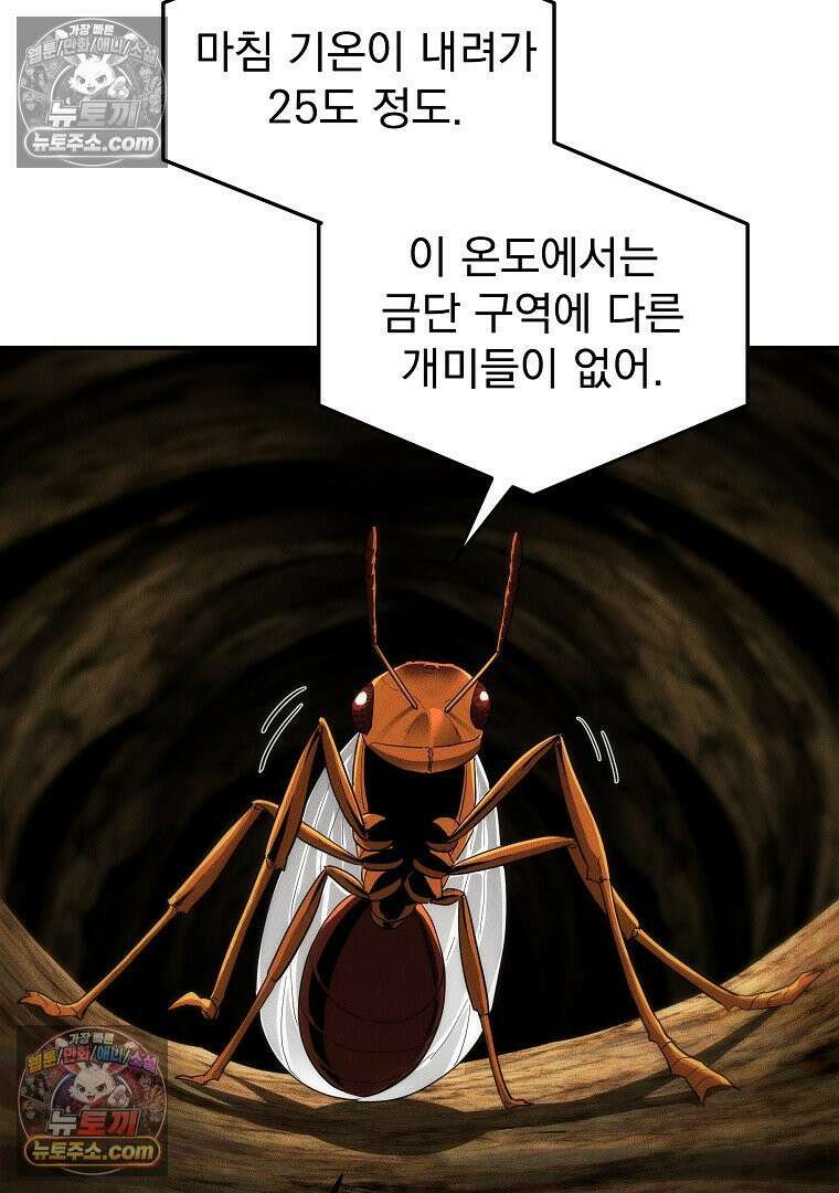 개미 14화 17