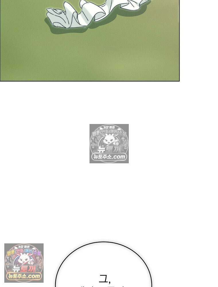 환생 공녀님 70화 4