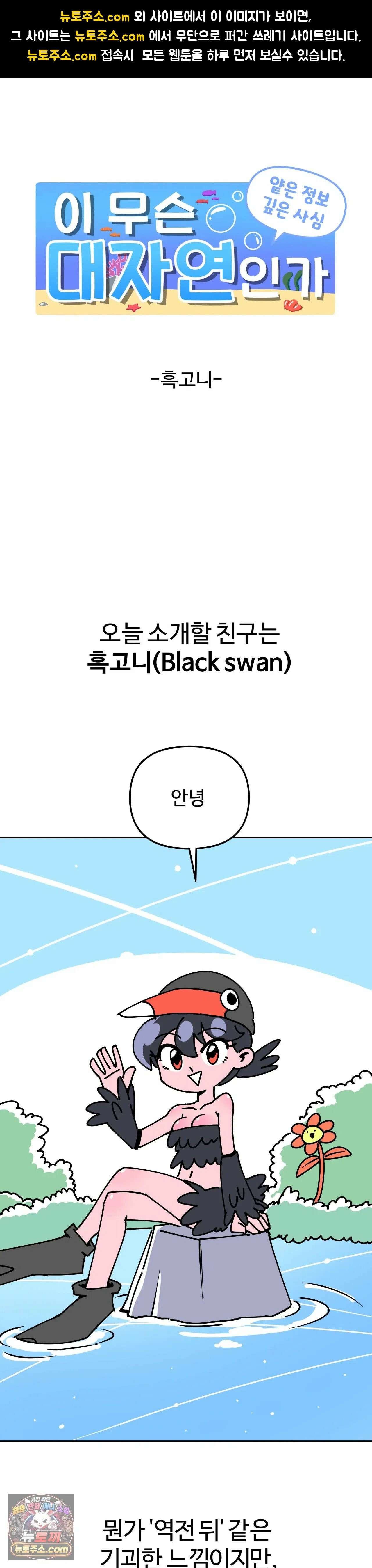 이 무슨 대자연인가 7화 - 흑고니 1
