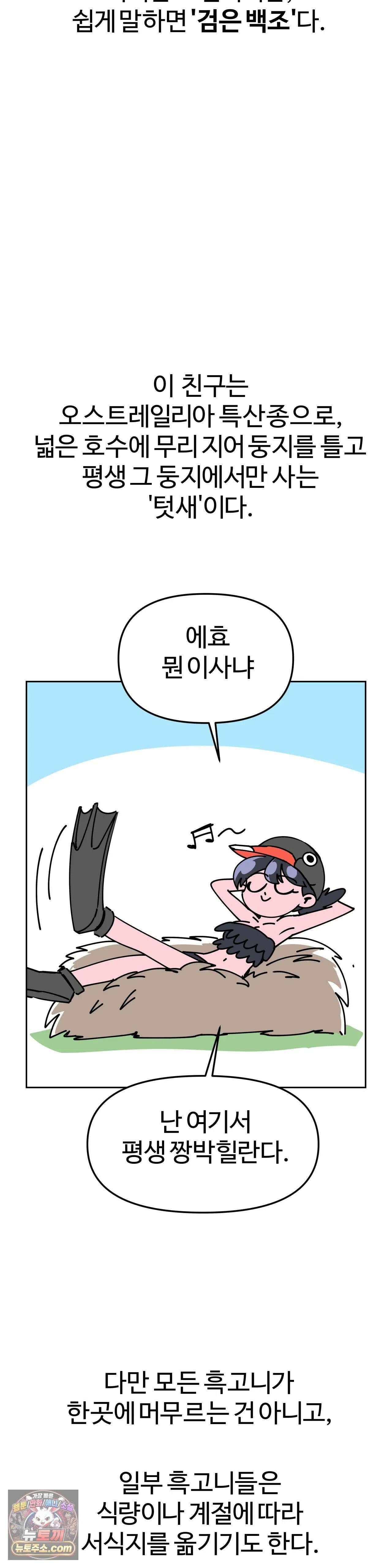 이 무슨 대자연인가 7화 - 흑고니 2