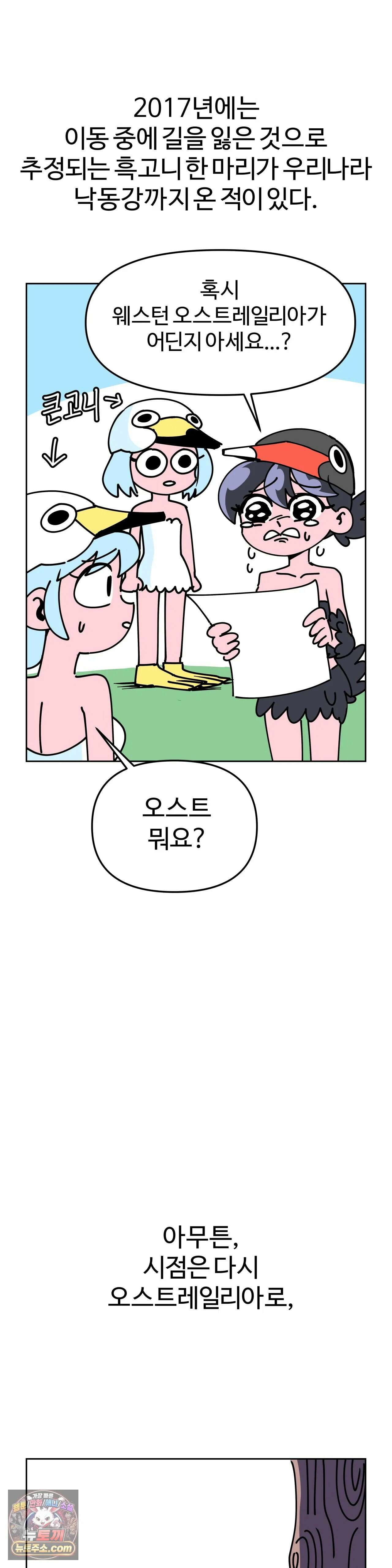 이 무슨 대자연인가 7화 - 흑고니 3