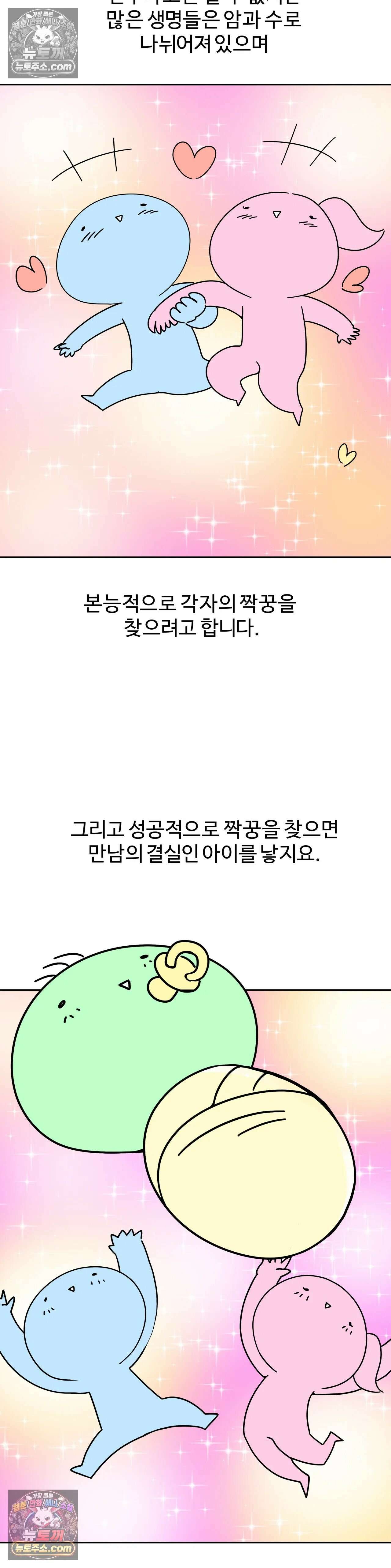 이 무슨 대자연인가 36화 - 시즌3 1화 : 바다거북 2