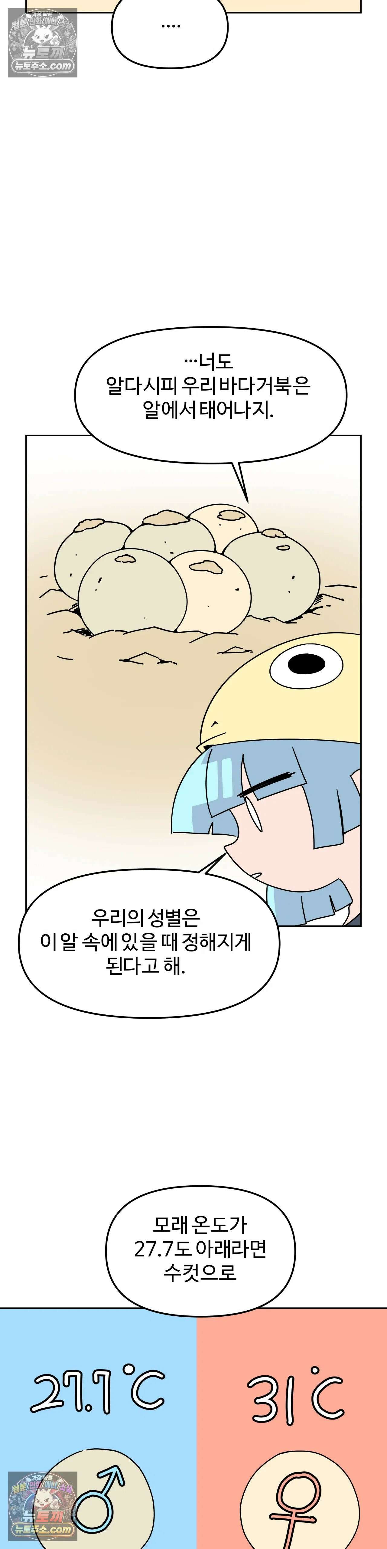 이 무슨 대자연인가 36화 - 시즌3 1화 : 바다거북 9