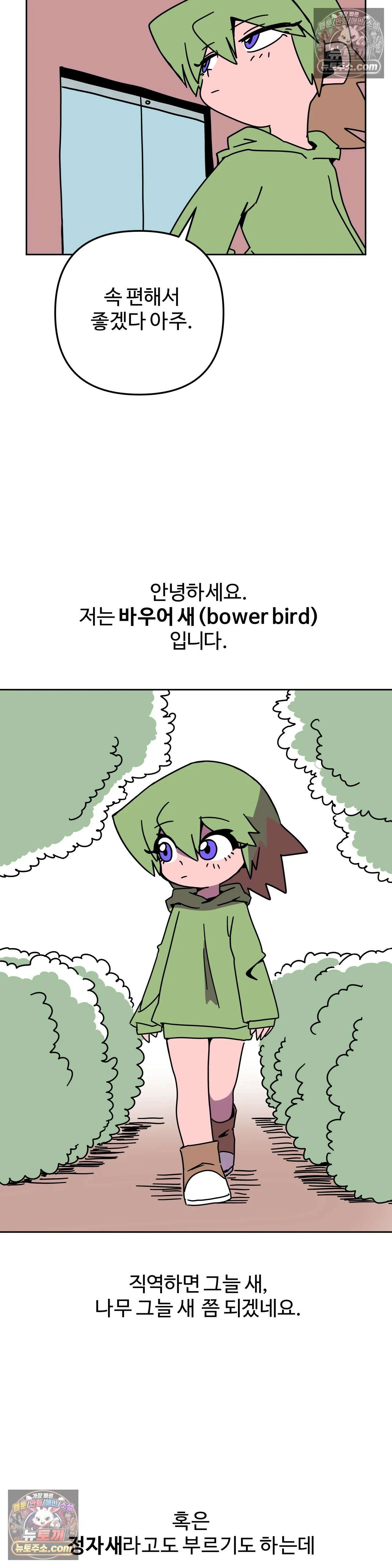 이 무슨 대자연인가 69화 - 바우어새 1 5
