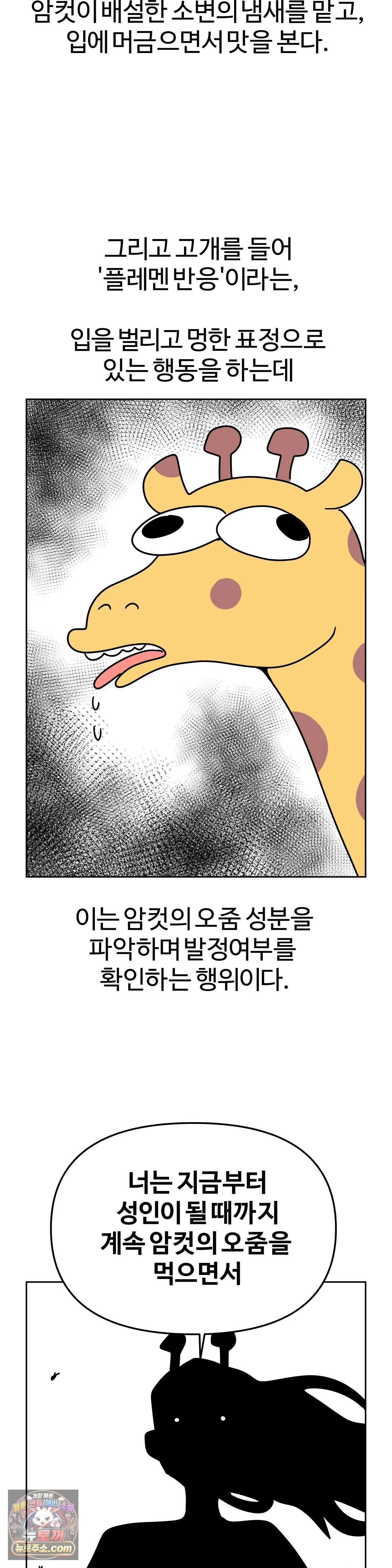 이 무슨 대자연인가 99화 - 기린 28