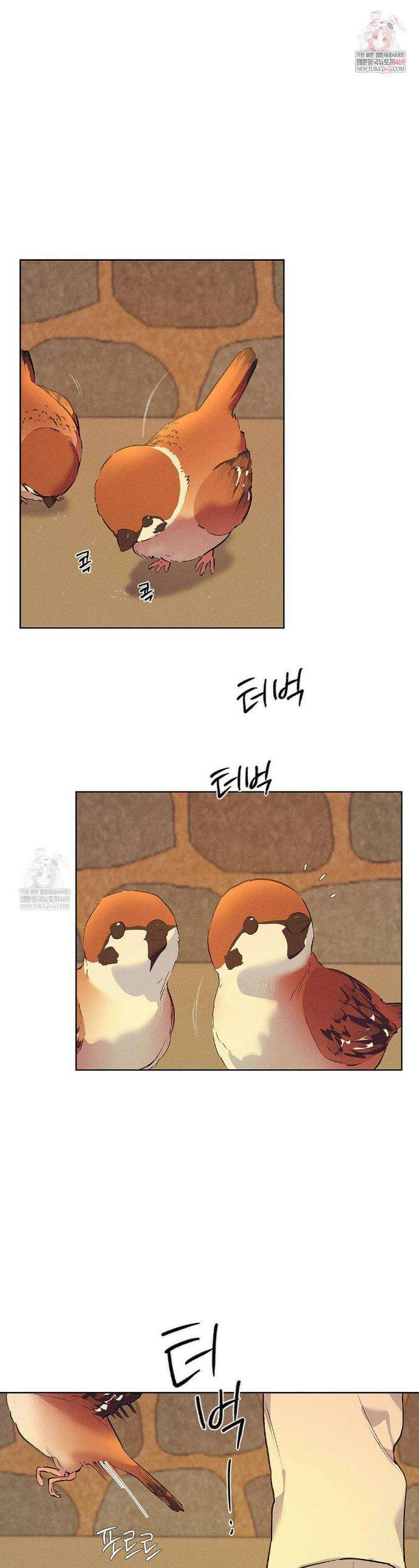 조선음구공방 50화 1