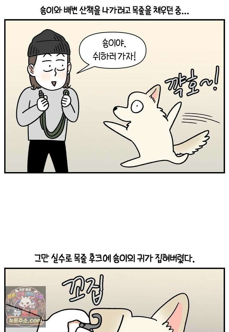 극한견주 시즌2 135화 착한 강아지 2