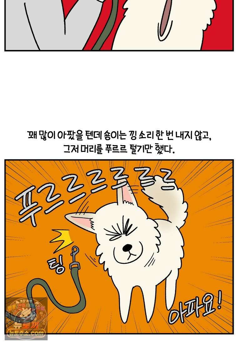 극한견주 시즌2 135화 착한 강아지 4