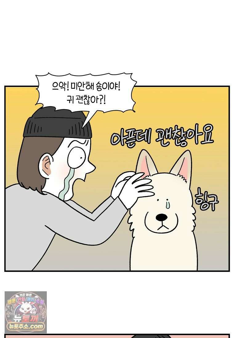 극한견주 시즌2 135화 착한 강아지 5