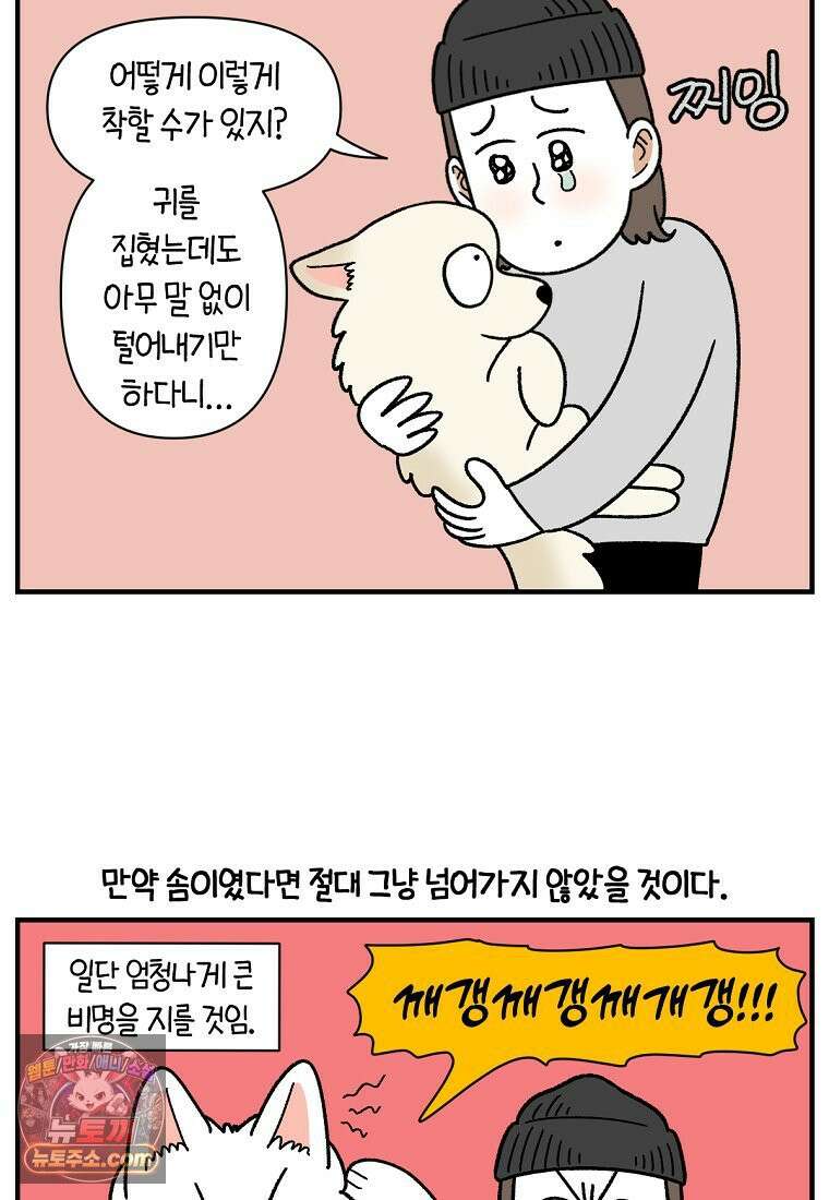 극한견주 시즌2 135화 착한 강아지 6