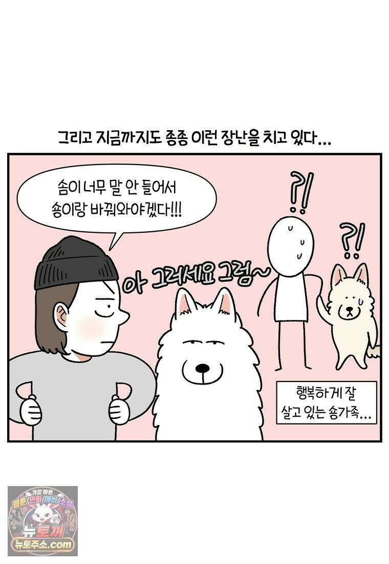 극한견주 시즌2 135화 착한 강아지 10