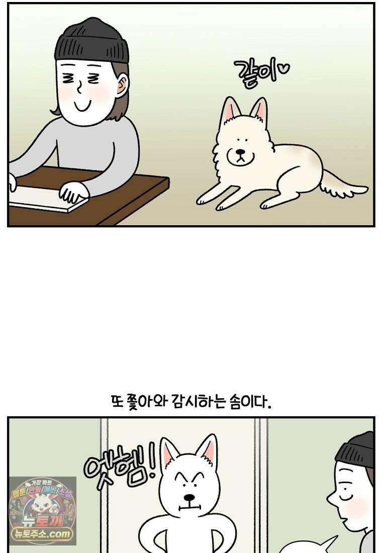 극한견주 시즌2 135화 착한 강아지 12