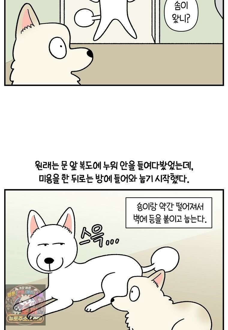 극한견주 시즌2 135화 착한 강아지 13