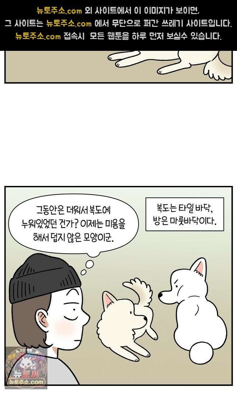 극한견주 시즌2 135화 착한 강아지 14
