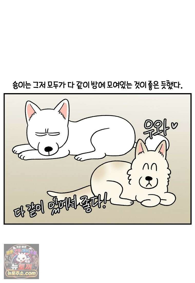 극한견주 시즌2 135화 착한 강아지 15