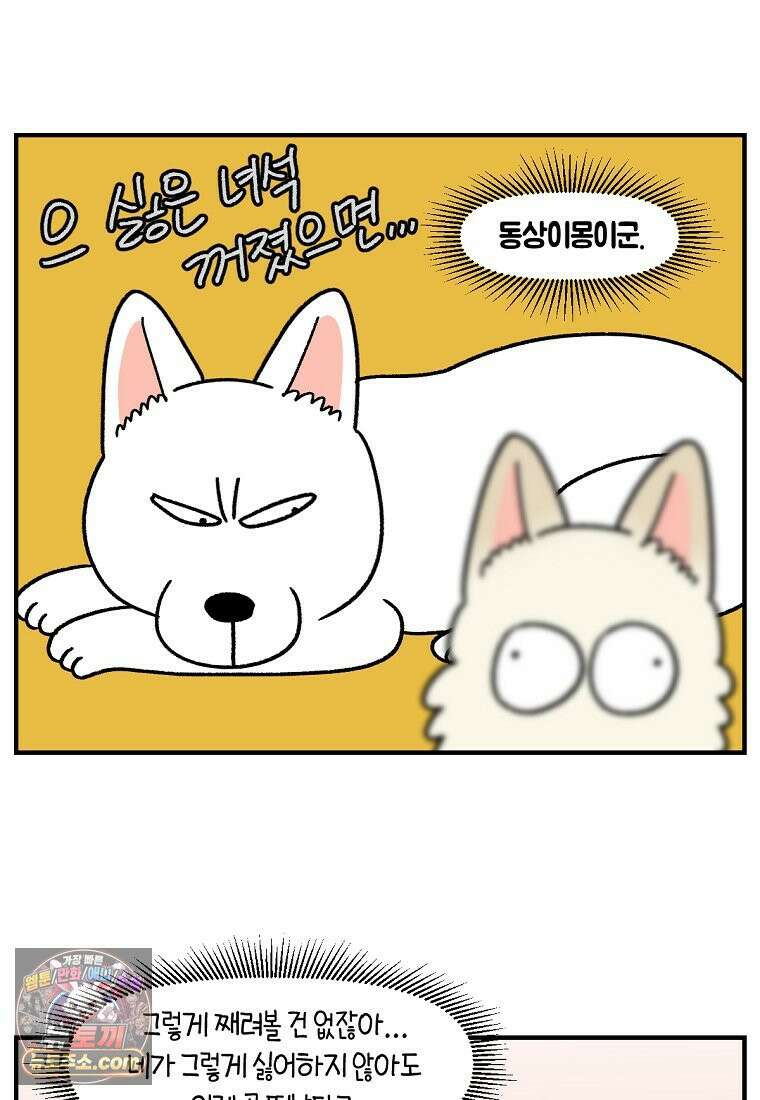 극한견주 시즌2 135화 착한 강아지 16