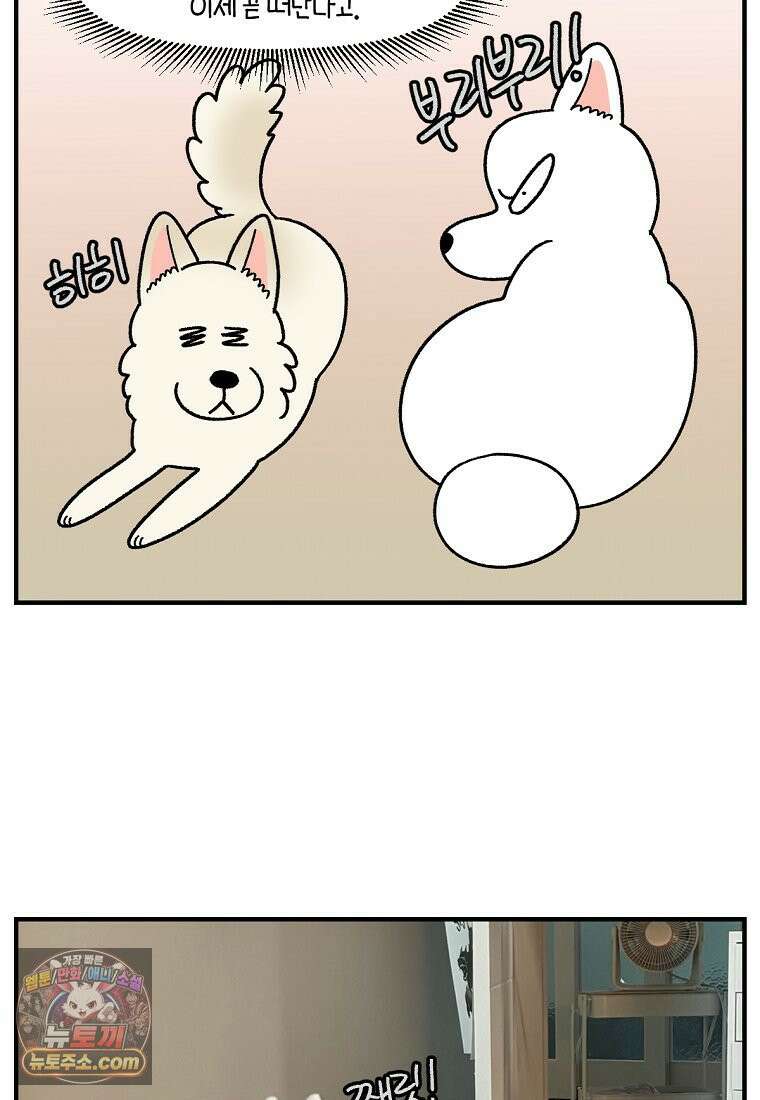 극한견주 시즌2 135화 착한 강아지 17