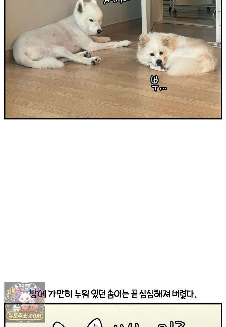극한견주 시즌2 135화 착한 강아지 18