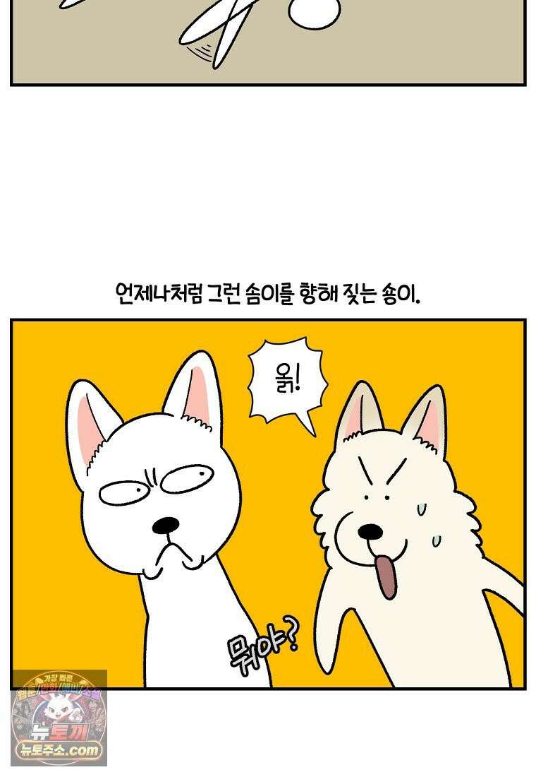 극한견주 시즌2 135화 착한 강아지 20