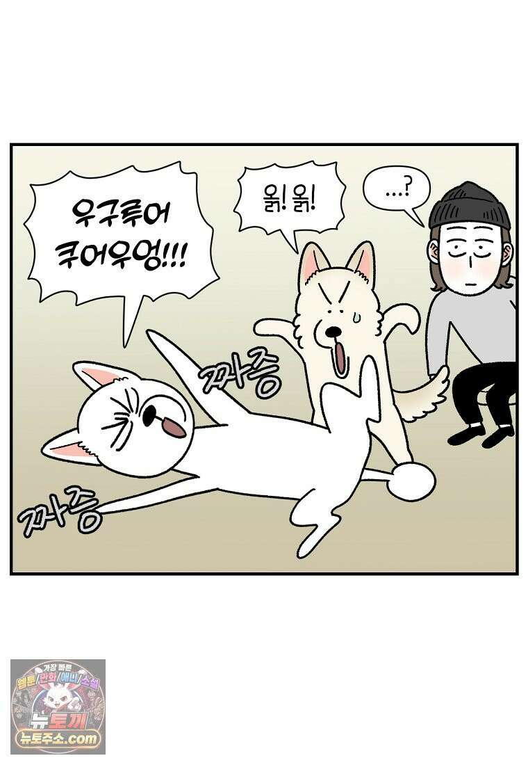 극한견주 시즌2 135화 착한 강아지 21