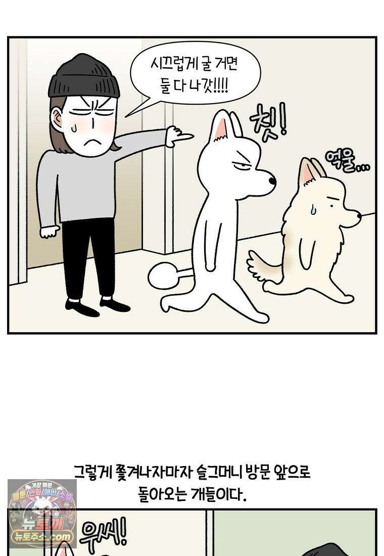 극한견주 시즌2 135화 착한 강아지 22
