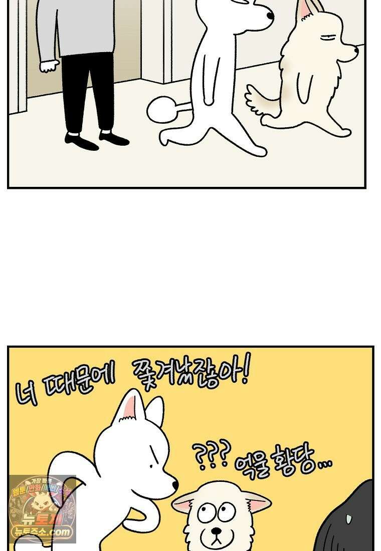 극한견주 시즌2 135화 착한 강아지 24