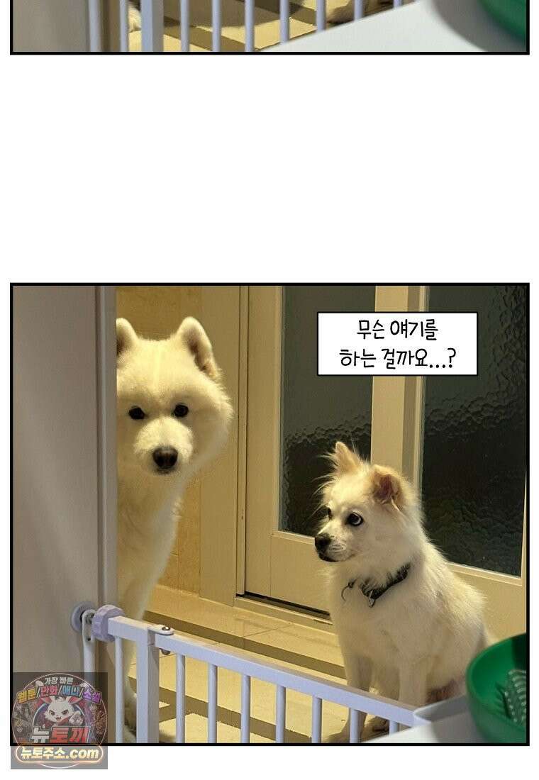 극한견주 시즌2 135화 착한 강아지 26