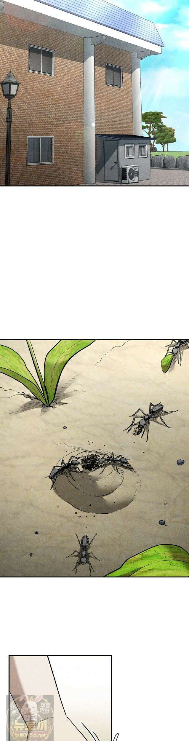 개미 35화 9
