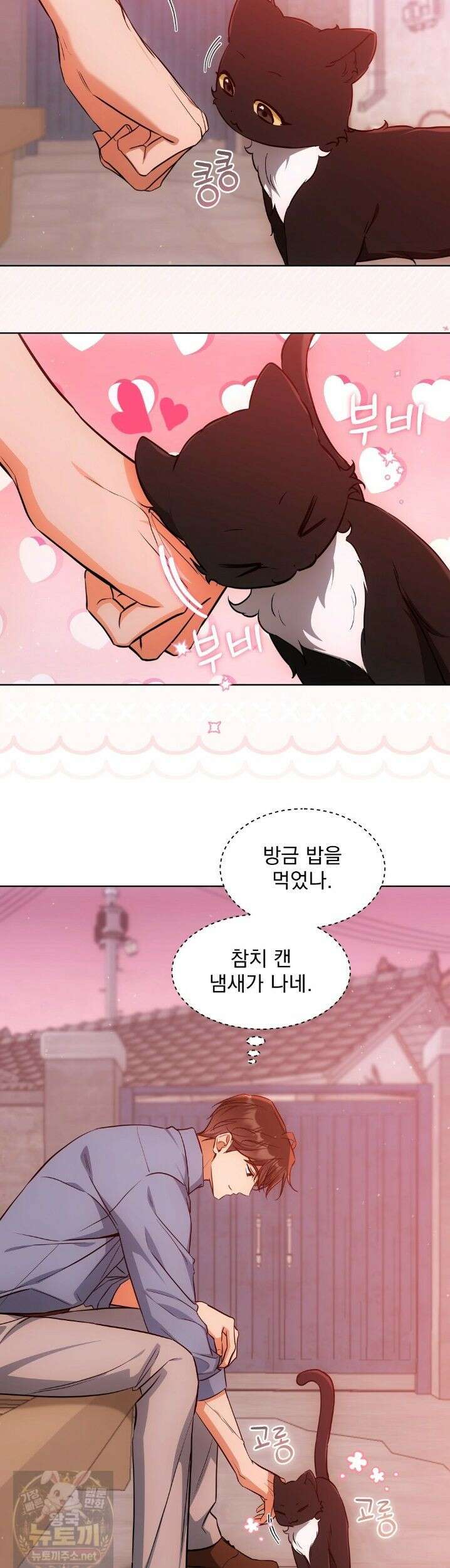 고양이 테라피 32화 6
