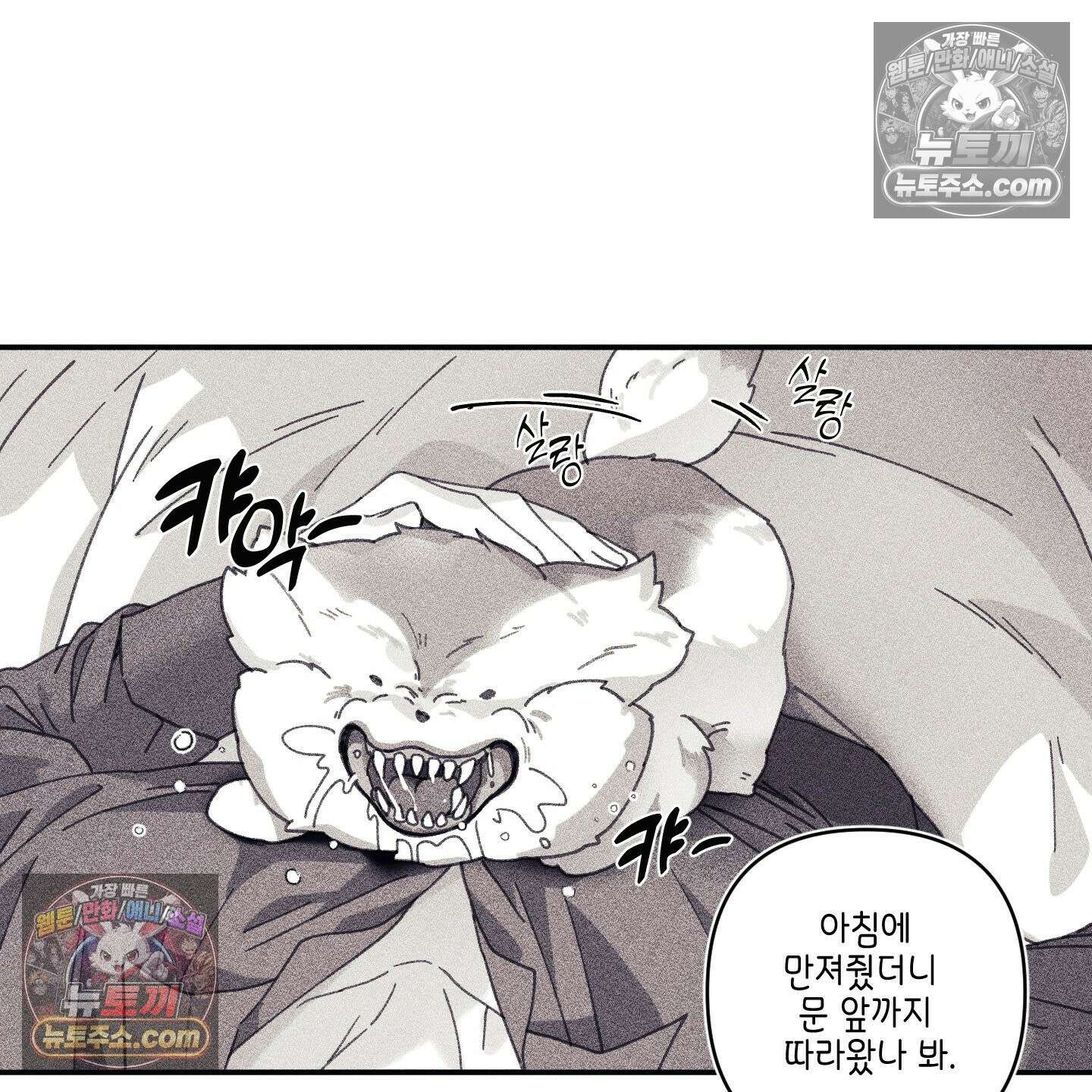 케이시의 비밀 13화 14