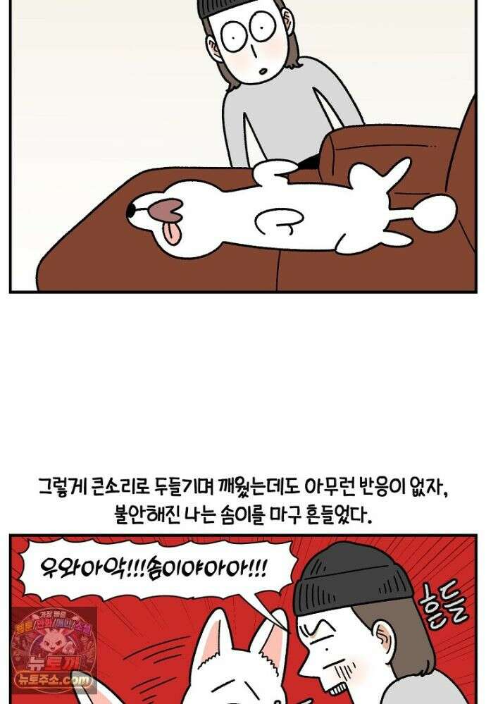 극한견주 시즌2 139화 잘 안 들리는 개 9