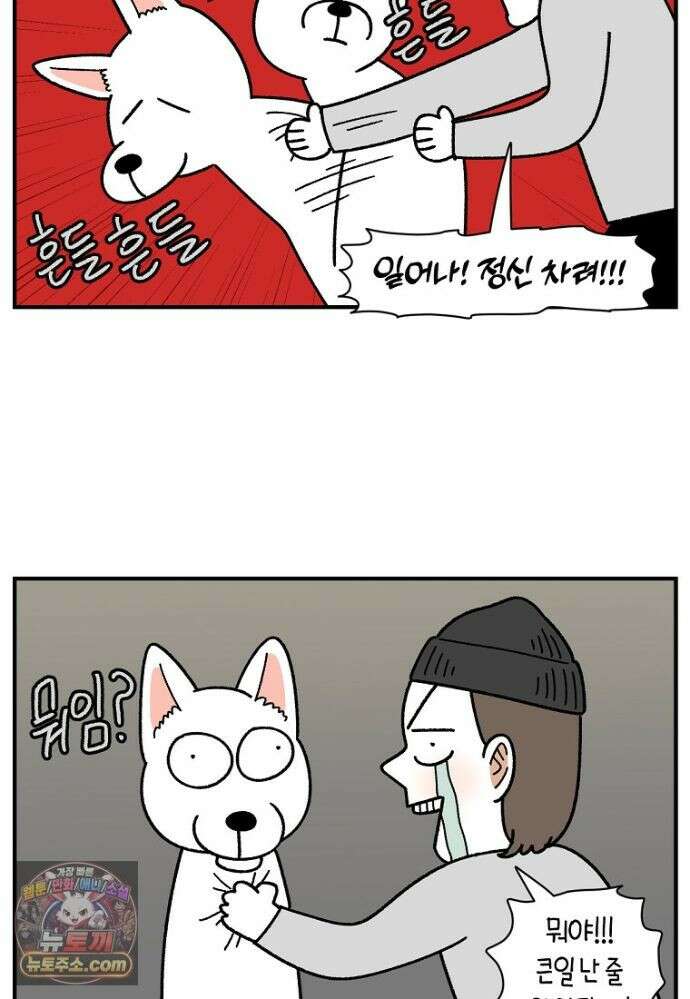 극한견주 시즌2 139화 잘 안 들리는 개 10