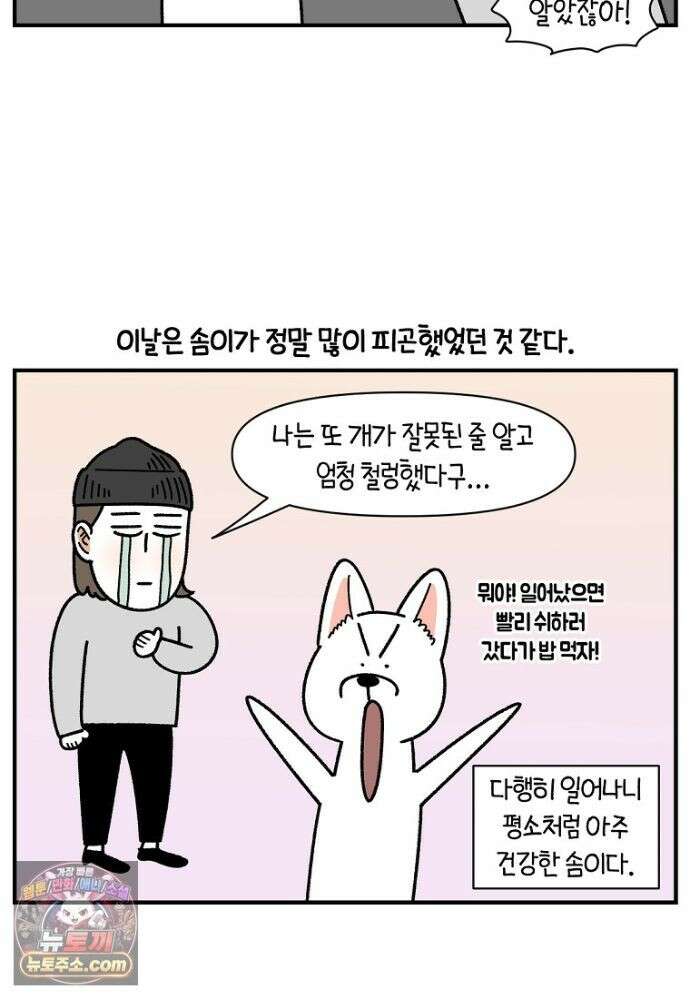 극한견주 시즌2 139화 잘 안 들리는 개 11