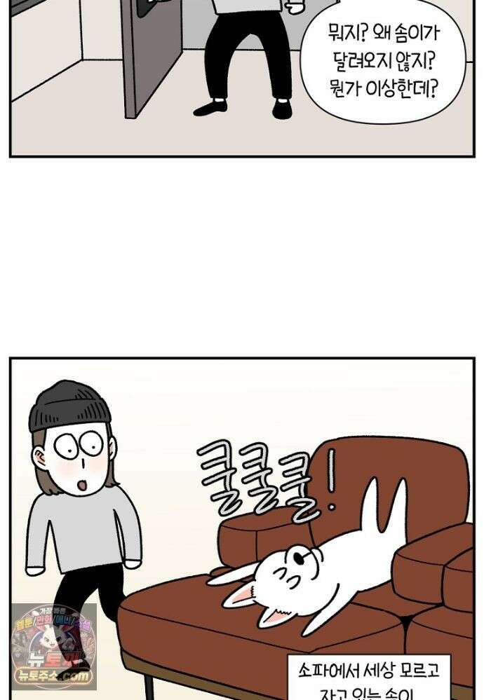 극한견주 시즌2 139화 잘 안 들리는 개 21