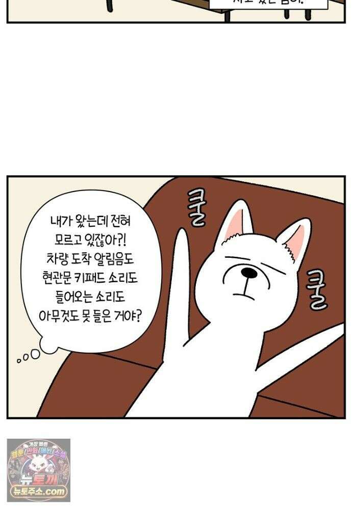 극한견주 시즌2 139화 잘 안 들리는 개 22