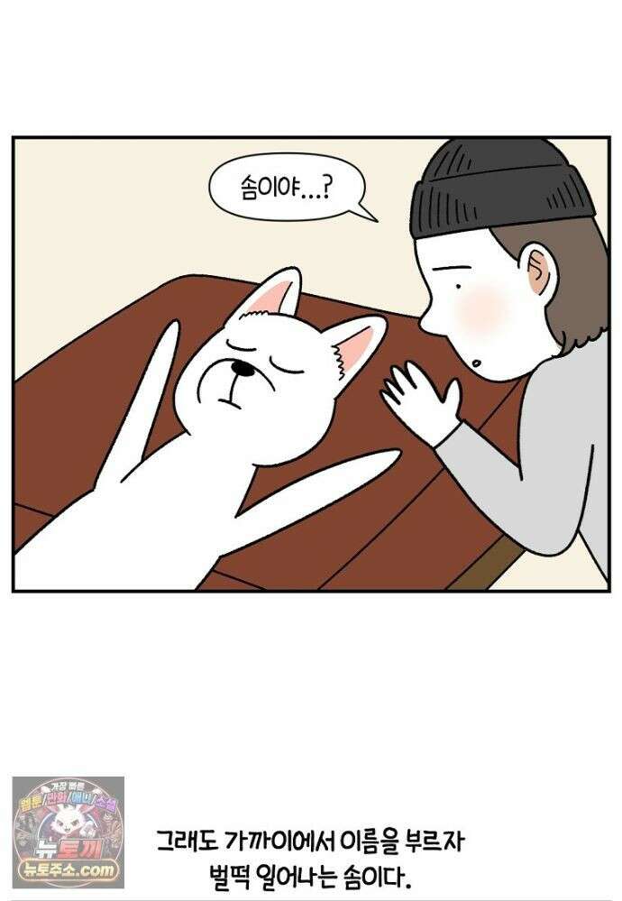 극한견주 시즌2 139화 잘 안 들리는 개 23