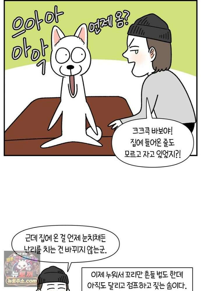 극한견주 시즌2 139화 잘 안 들리는 개 24