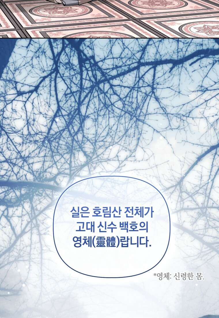 백호 가문의 아기 솜뭉치 27화 13