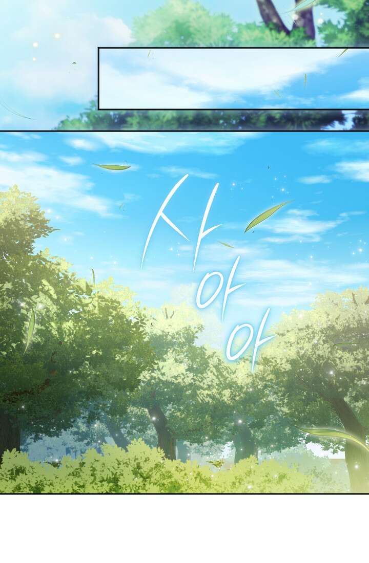 금빛 슈발리에 51화 11