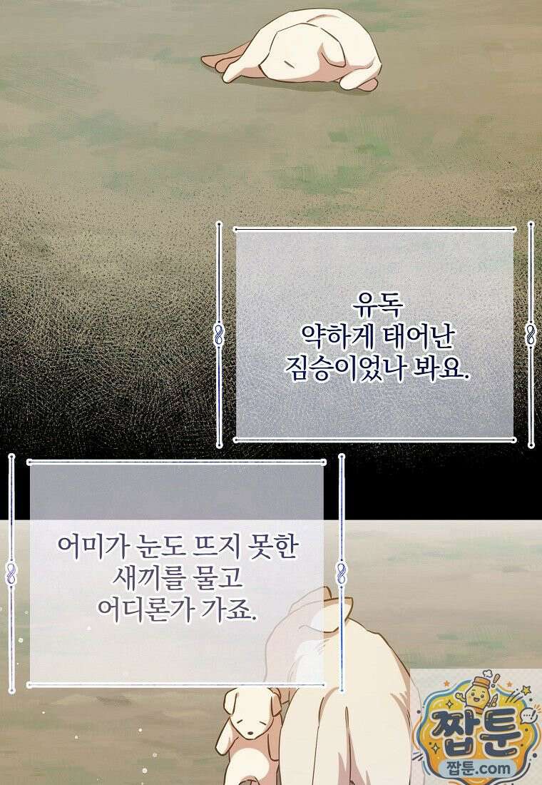 곱게 키운 악당들 60화 15