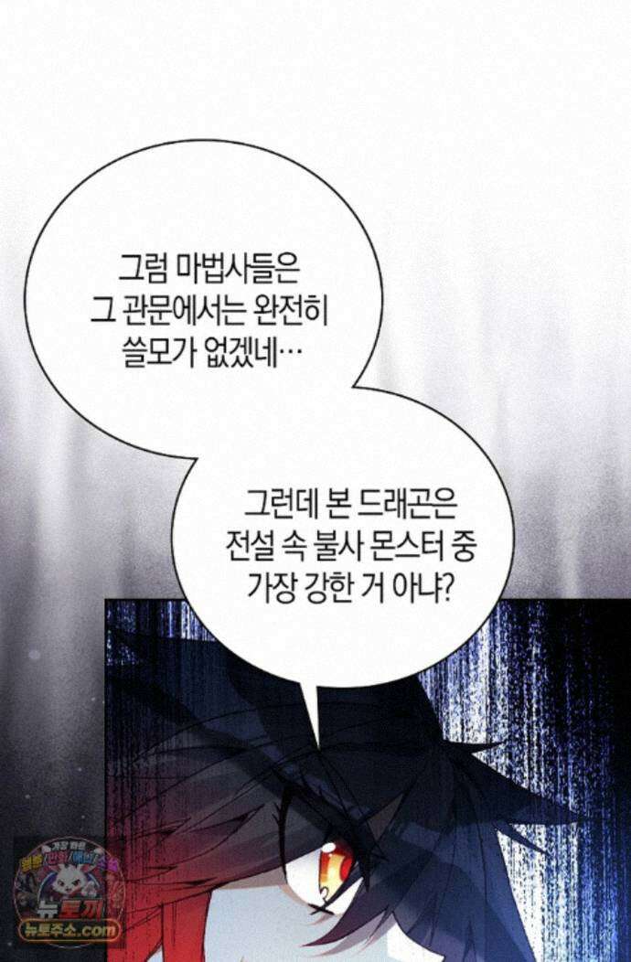 사신 영웅전: 바보 마법사 영웅이 되다 250화 71