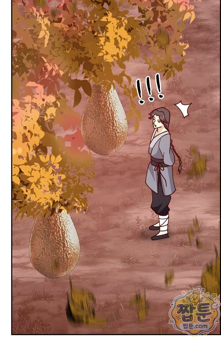 무련전봉 2006화 12