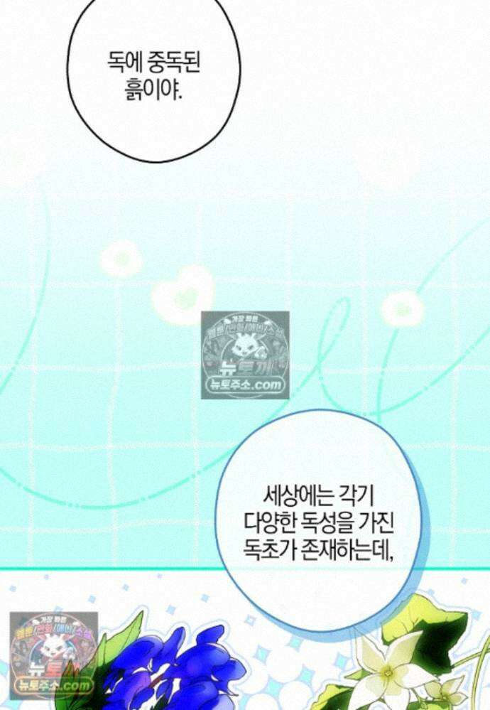 신데렐라는 이 멧밭쥐가 데려갑니다 42화 6